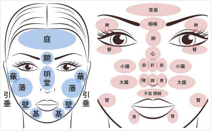 中医针灸推拿基础知识(望诊1)源安康中医基础知识学堂